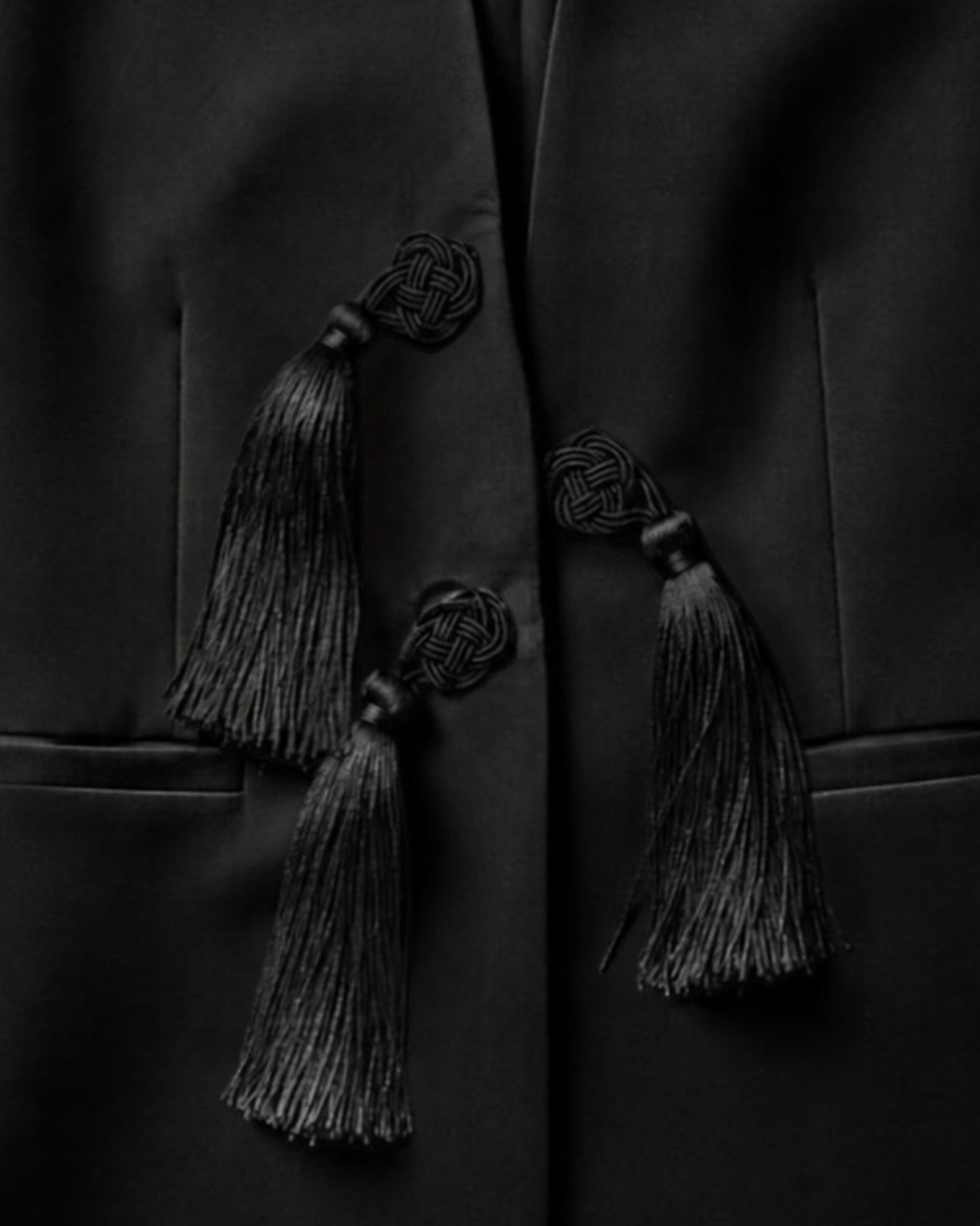 THE BLACK TASSEL ON [Blazer]